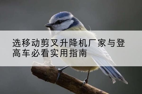 贵阳电动升降机厂家-选移动剪叉升降机厂家与登高车必看实用指南