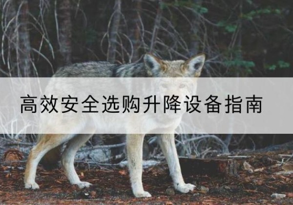 贵阳升降货梯厂家推荐-*安全选购升降设备指南